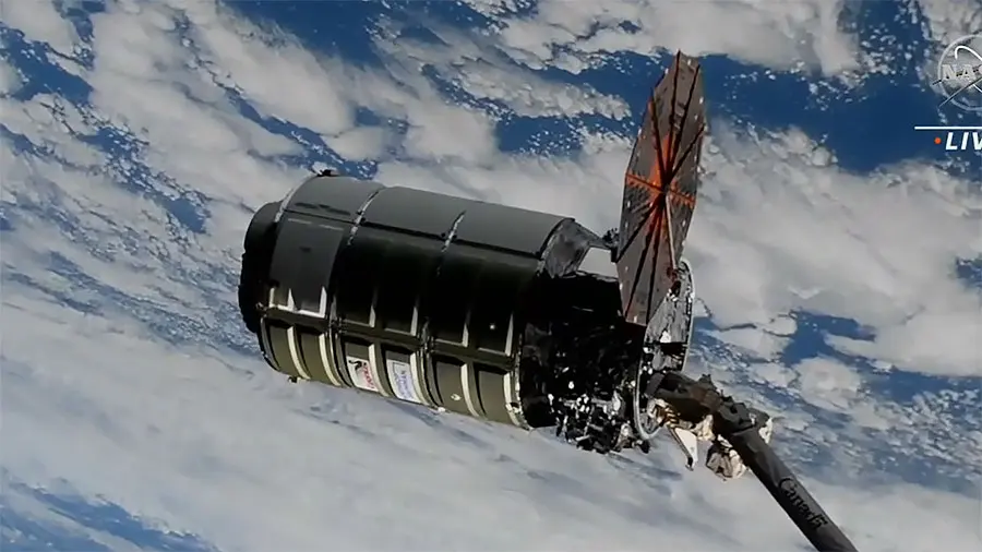 NG-19 Cygnus Berthing