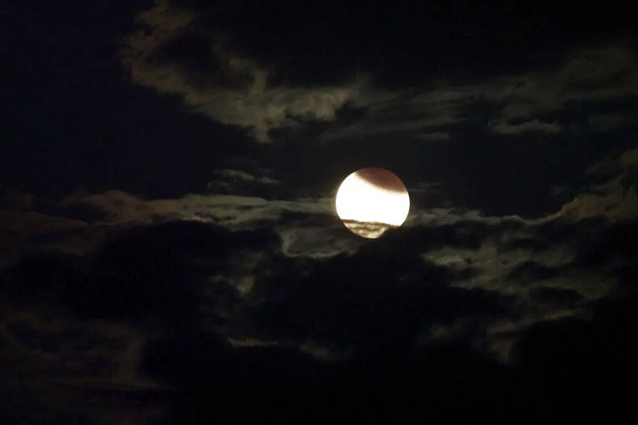 Partial Lunar Eclipse